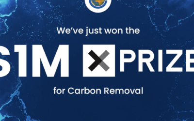 The Climate Foundation Wins Million-Dollar Milestone XPRIZE for Carbon Removal funded by Elon Musk and the Musk Foundation