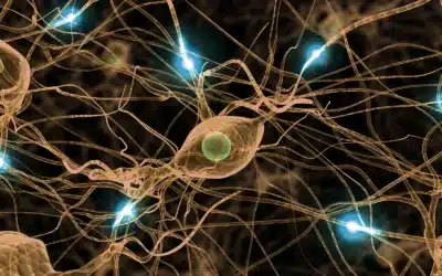 CCC research on Cellular Legos programmed cell interactions featured in Science Daily  “Cellular ‘glue’ to regenerate tissues, heal wounds, regrow nerves”