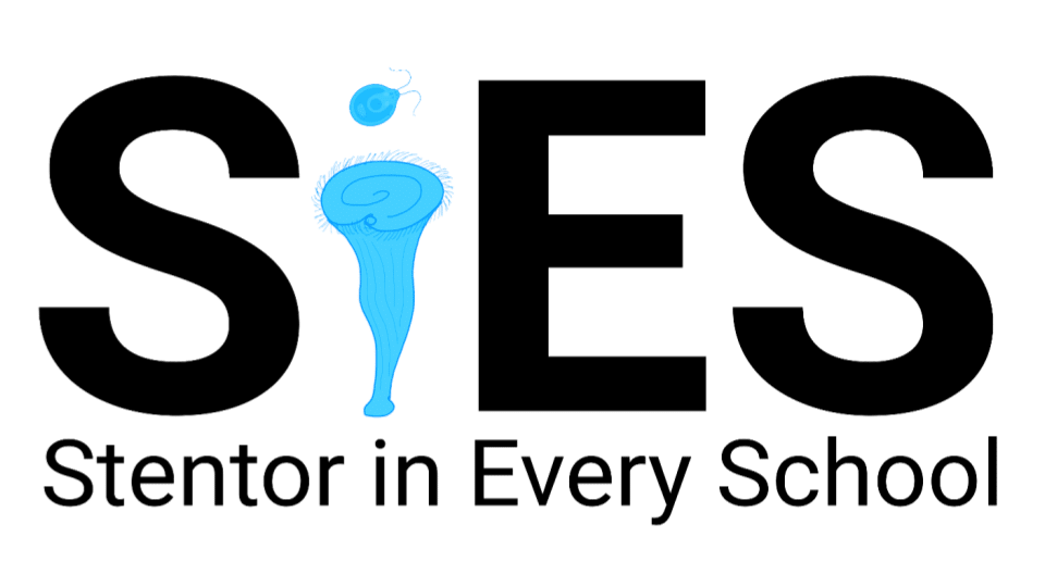SiES Logo